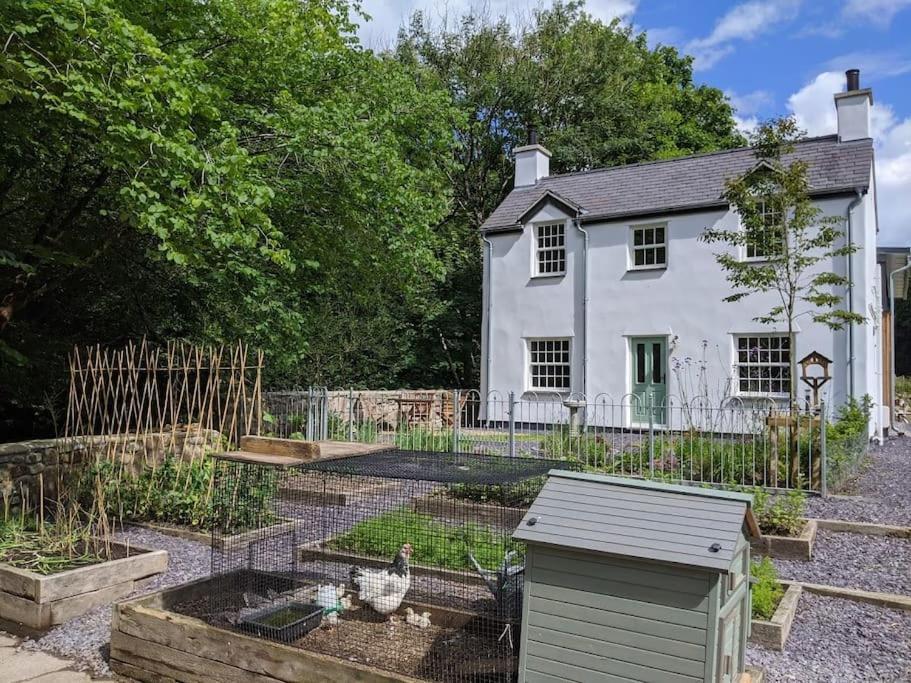 Riverside Cottage Walking Distance Into Caernarfon Exteriör bild