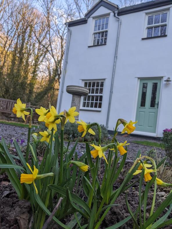 Riverside Cottage Walking Distance Into Caernarfon Exteriör bild